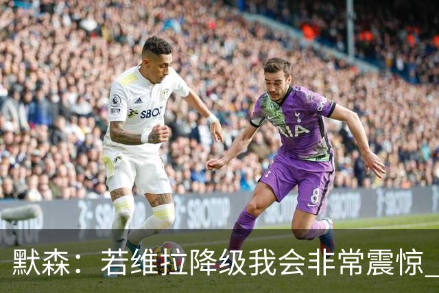 默森：若维拉降级我会非常震惊 阿森纳将以两位数积分优势夺冠